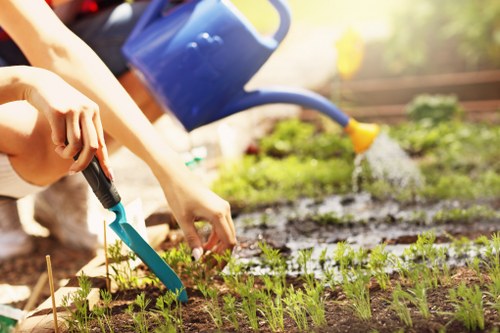 Professional gardening services in St James maintaining a healthy garden