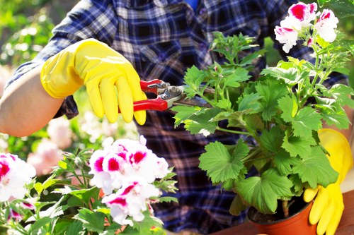 Garden waste being sorted for recycling at a sustainable gardening service