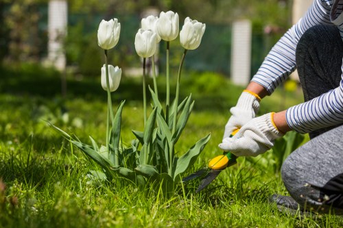 Healthy green lawn care in St James with fresh grass and neat edges