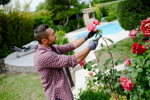 Professional gardeners in St James shaping a balanced landscape