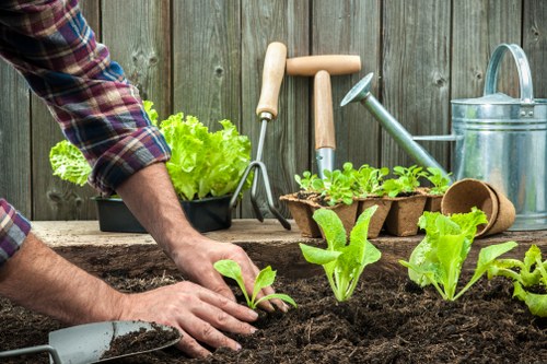 Illustration representing essential website cookies for Gardeners St James