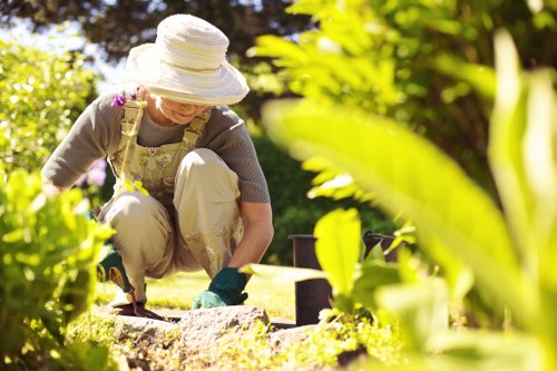 Seasonal garden maintenance by St James gardeners