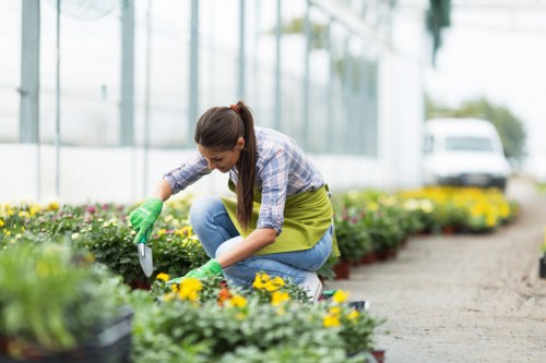 Illustration representing accessible Gardeners St James web content