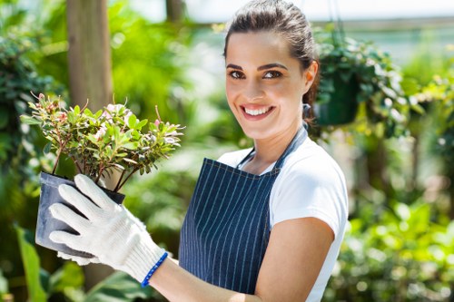 Lawn care and hedge trimming for St James properties