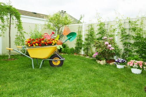 Professional patio cleaning in St James removing dirt and algae