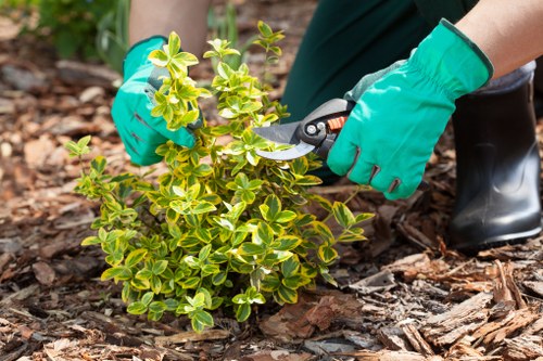 Training and accountability in Gardeners St James operations