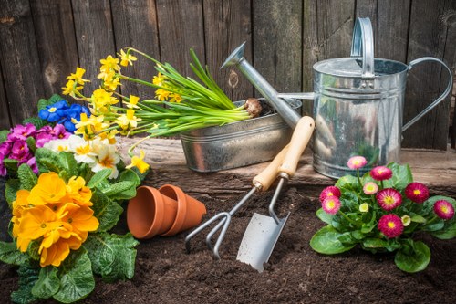 Seasonal watering and turf maintenance for lawns in St James