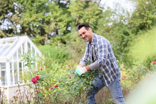 Professional garden maintenance in St James including hedge trimming and border care