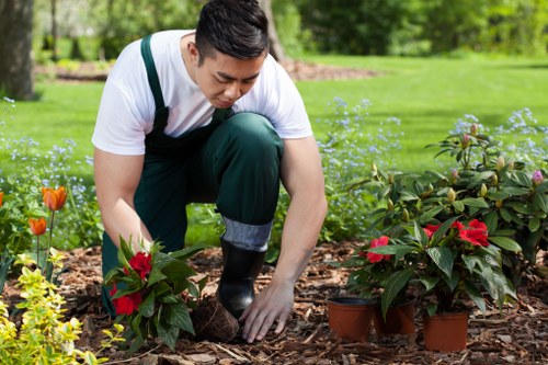 Accessibility support notice for St James gardening visitors