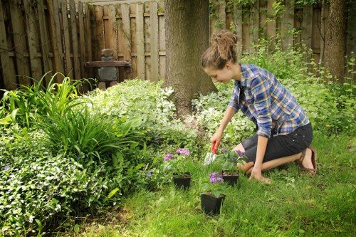 Stylish landscape gardening in St James with layered borders and hard landscaping
