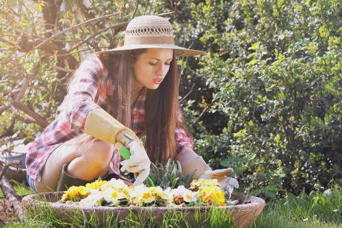 Professional lawn mowing and trimming service in St James