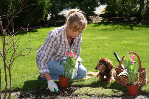 Sustainable gardening materials being reused through charity partnerships