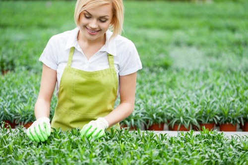 Risk assessment and safe tool use during garden maintenance
