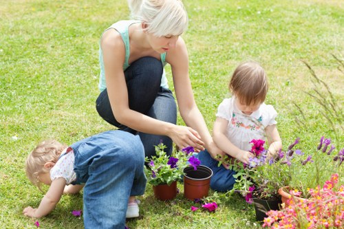 Healthy outdoor space cared for by Gardeners St James