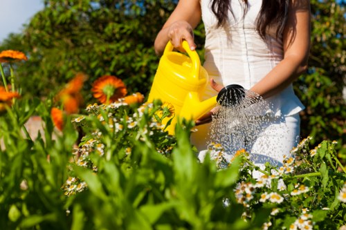 Seasonal garden maintenance in St James with planting and cleanup