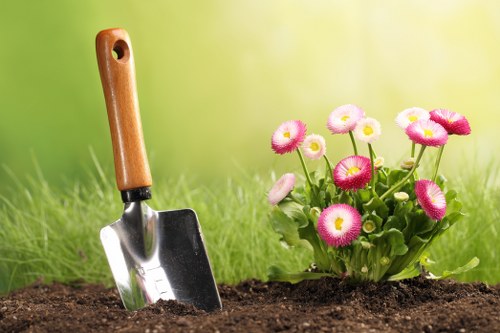 Weed control and lawn improvement service for St James properties