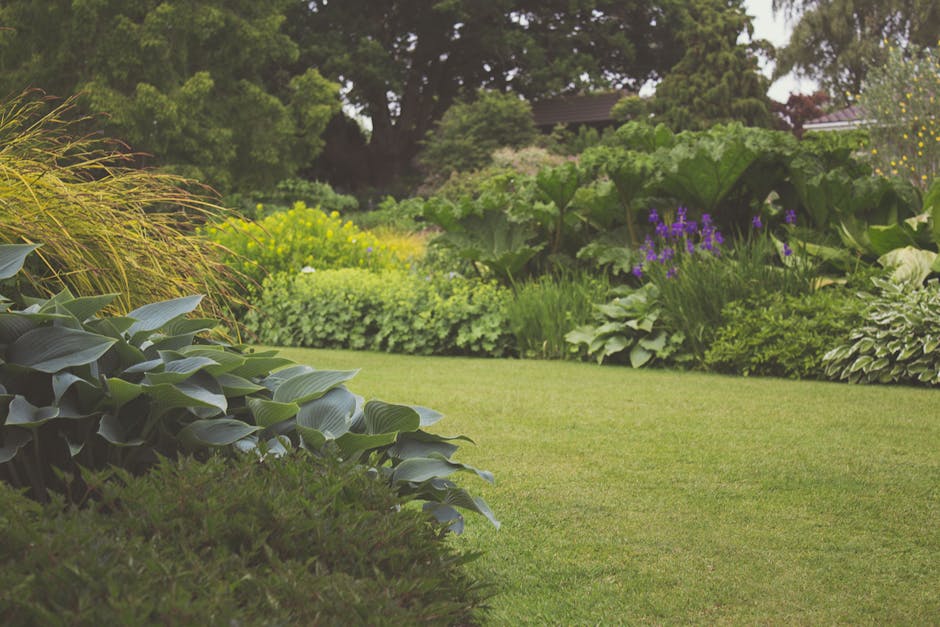 A well-maintained garden featuring a lush, trimmed lawn with evenly cut grass, bordered by a variety of garden beds filled with leafy plants and flowering shrubs. In the foreground, large broad-leafed
