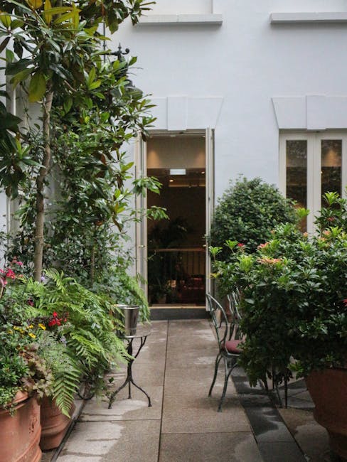 A small, neatly maintained courtyard garden with a concrete pathway leading to a white building entrance. On the left side, lush green plants and shrubs, including a tall shrub with dark green glossy